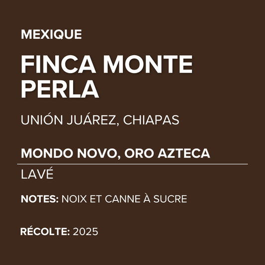 Mexique - Finca Monte Perla - Mondo Novo, Oro Azteca - Lavé
