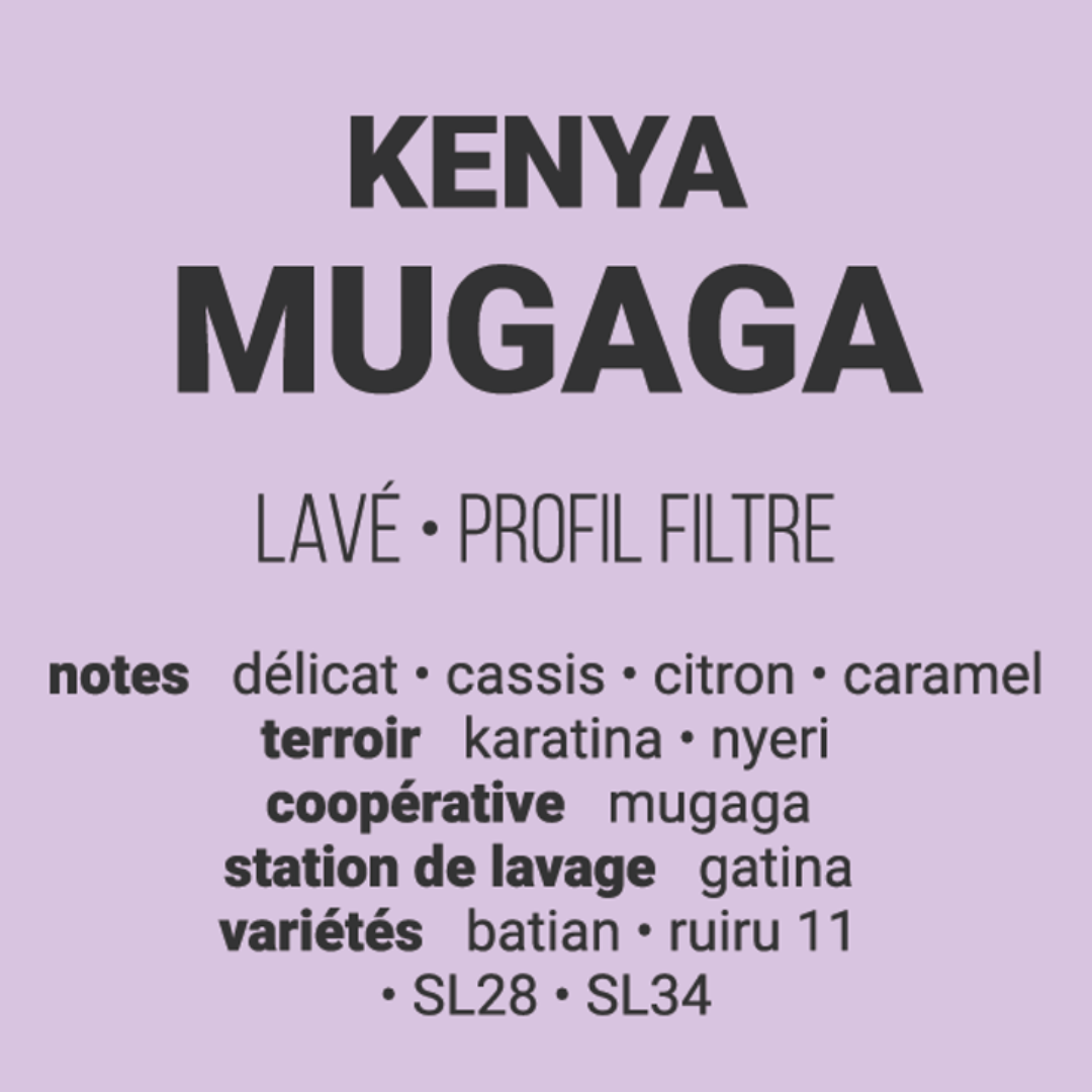 Café Torréfié-Cloudforest-Mugaga-Kenya-Filtre