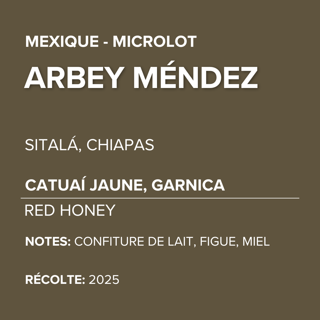 Mexique - Arbey Méndez - Catuaí Jaune, Garnica - Red Honey