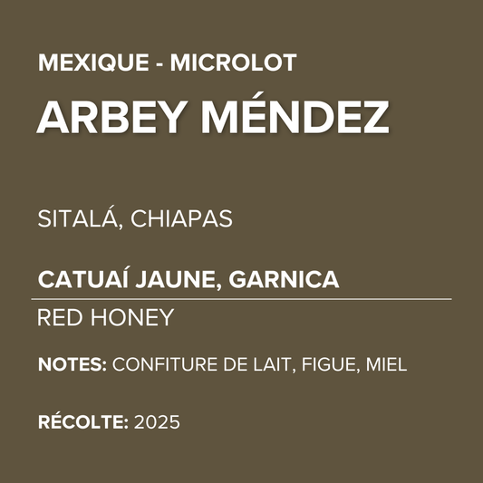 Mexique - Arbey Méndez - Catuaí Jaune, Garnica - Red Honey