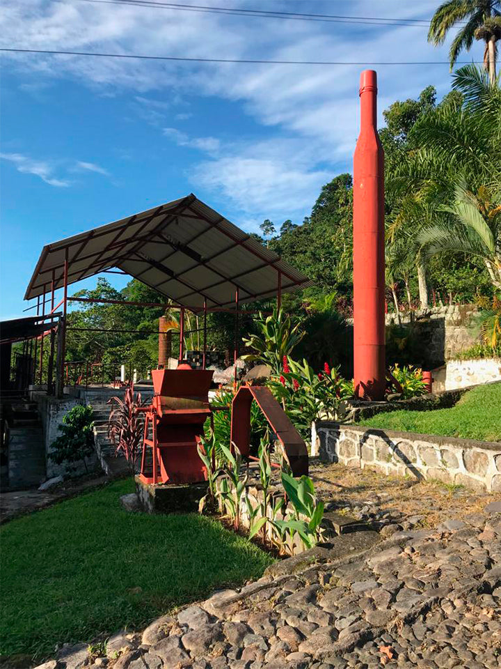 Mexique - Finca Monte Perla - Mondo Novo, Oro Azteca - Lavé