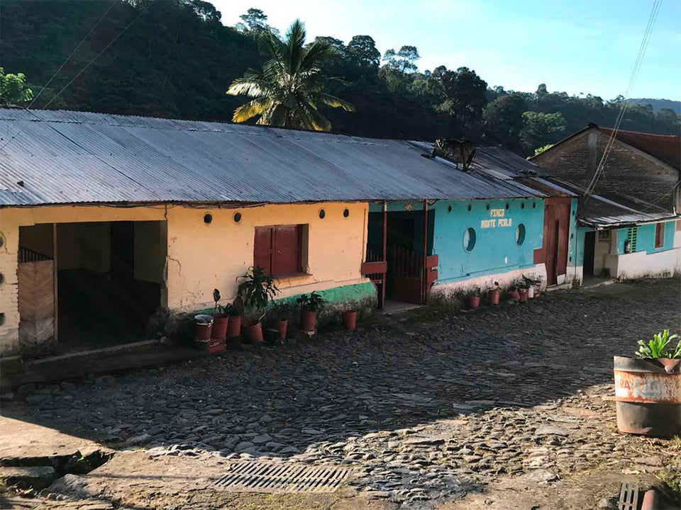 Mexique - Finca Monte Perla - Mondo Novo, Oro Azteca - Lavé