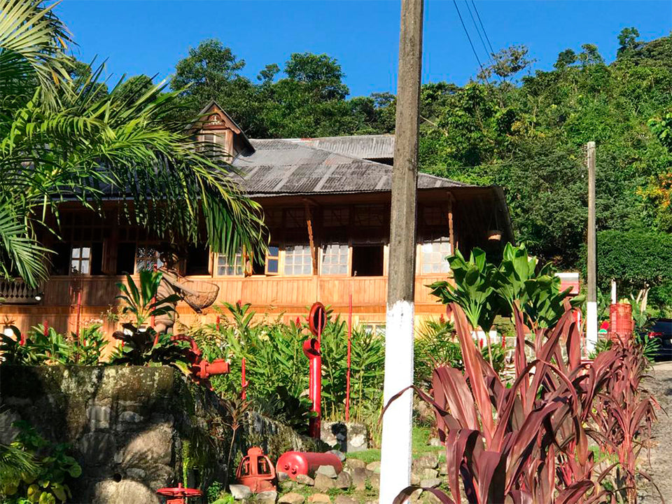 Mexique - Finca Monte Perla - Mondo Novo, Oro Azteca - Lavé